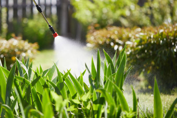 24/7 Emergency Cockroach Control experts in Mount Hermon, CA