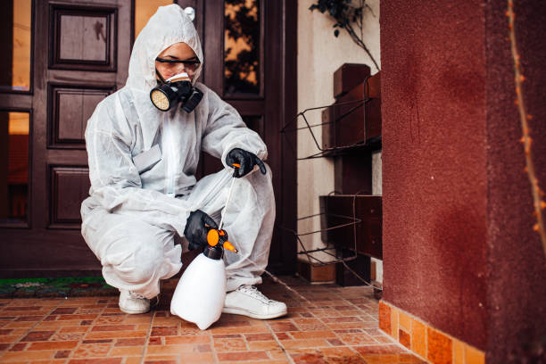 Reliable Cockroach Control contractor in Mount Hermon, CA by Nex Pest Control