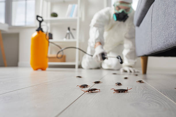 Affordable Cockroach Control solutions in Mount Hermon, CA