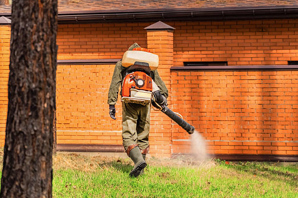 Top rated local Cockroach Control specialists in Mount Hermon, CA